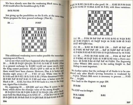 Cyber-chess Beginner's Level: a chess tutorial site designed for